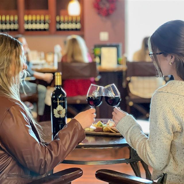 two women cheers each other with wine