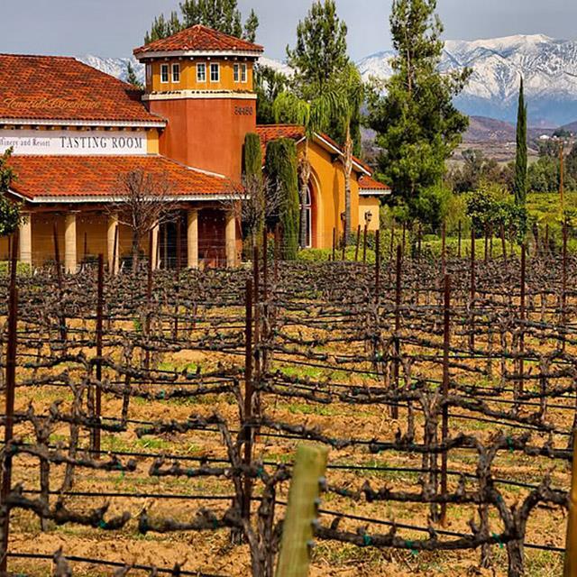 a grape orchard