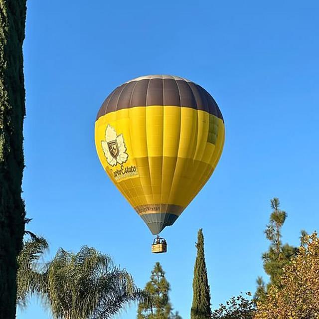 a hot air balloon