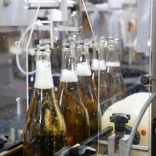 sparkling wine being bottled